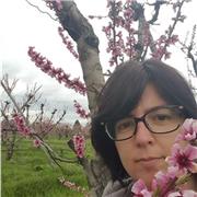 Interprete traduttrice 20 anni d'esperienza